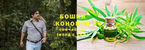 мескалин Бородино