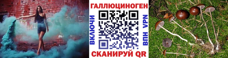 Галлюциногенные грибы GOLDEN TEACHER  KRAKEN маркетплейс  Набережные Челны 